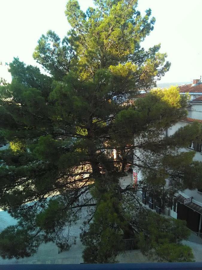 Apartment Sandra 2+2 *** Цриквениця Екстер'єр фото